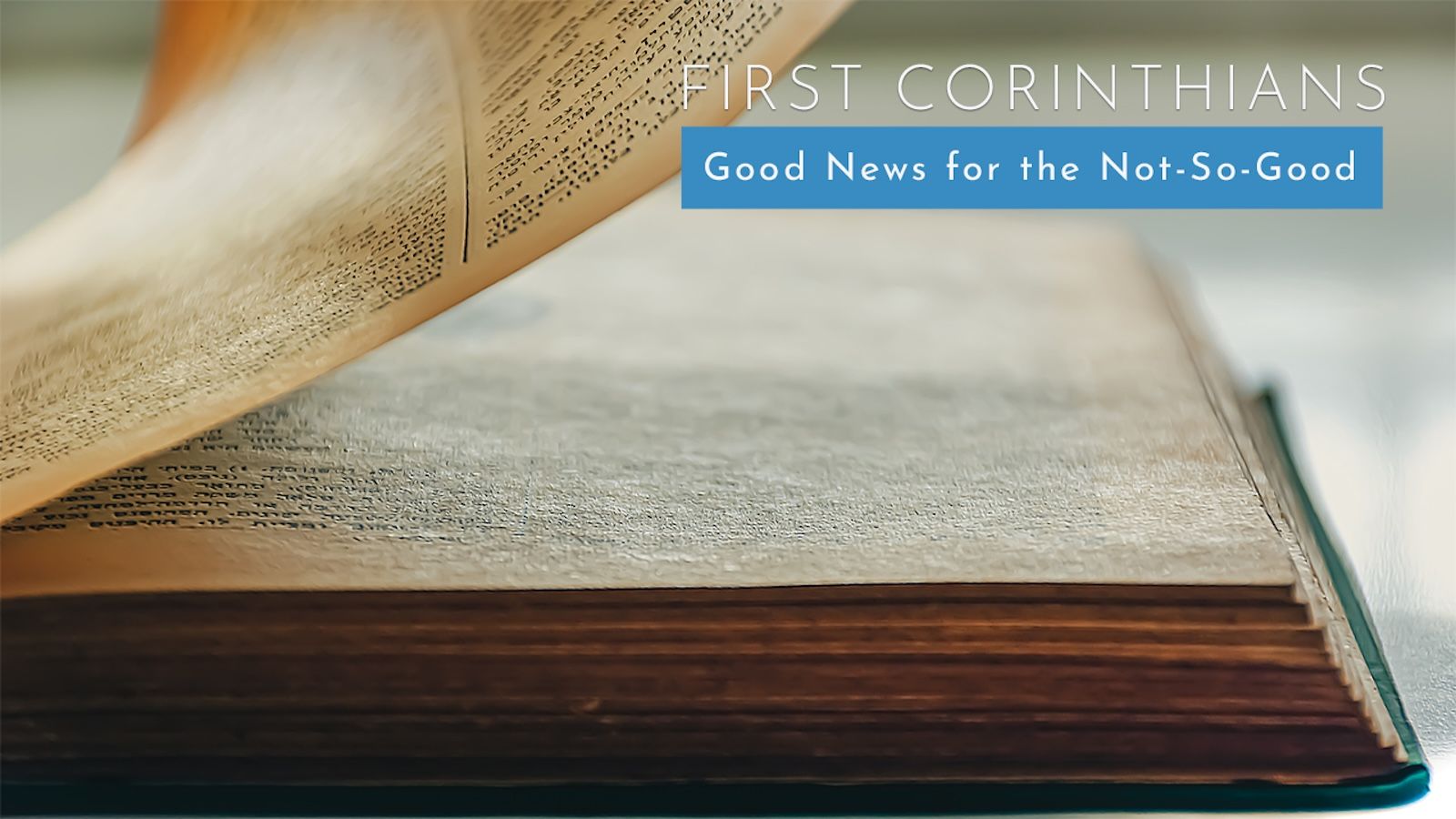 Wisdom: A Head Start 7 of 28