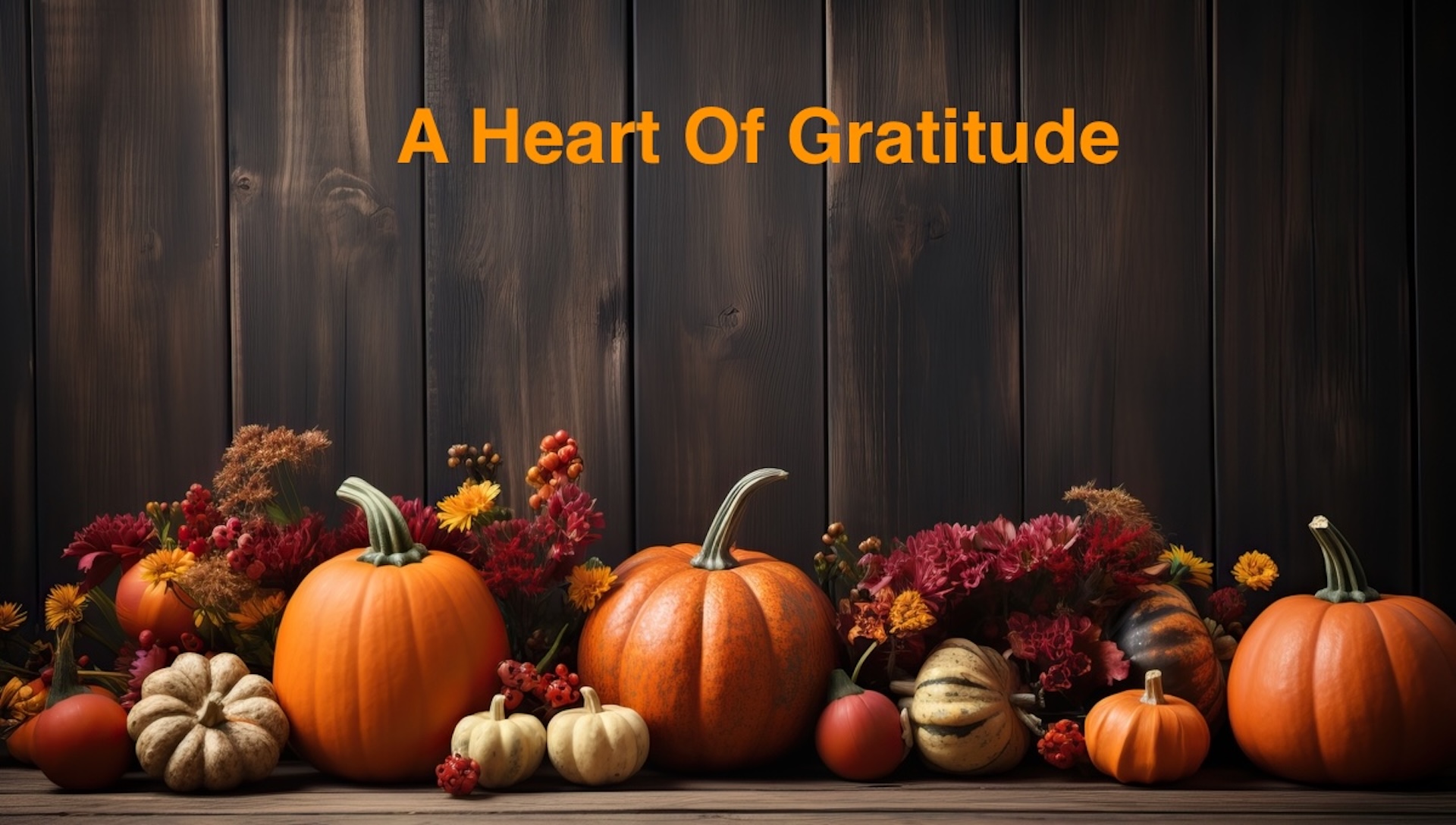 A Heart Of Gratitude